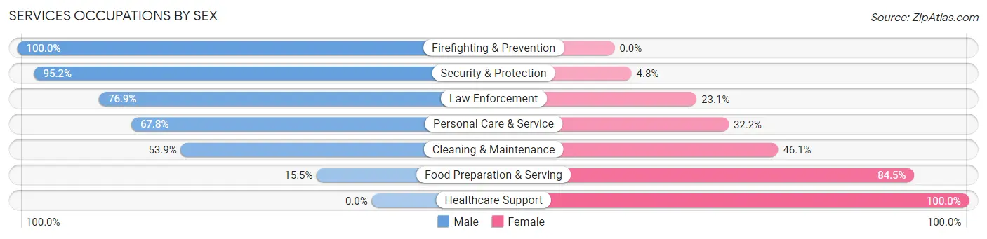Services Occupations by Sex in Zip Code 46040