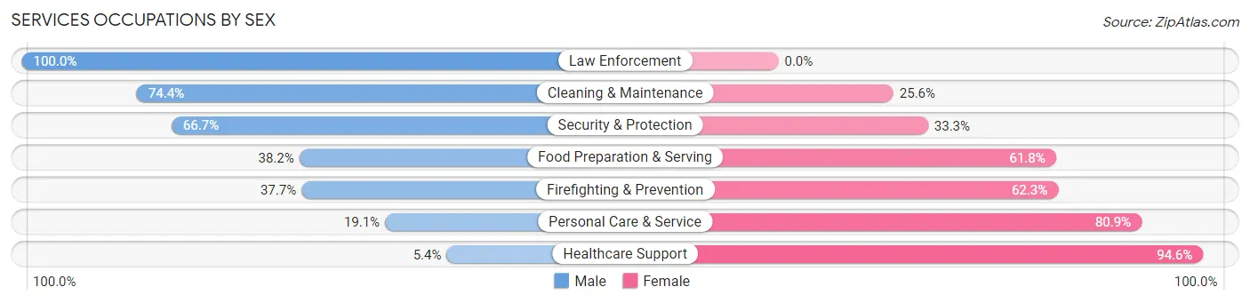 Services Occupations by Sex in Zip Code 46041