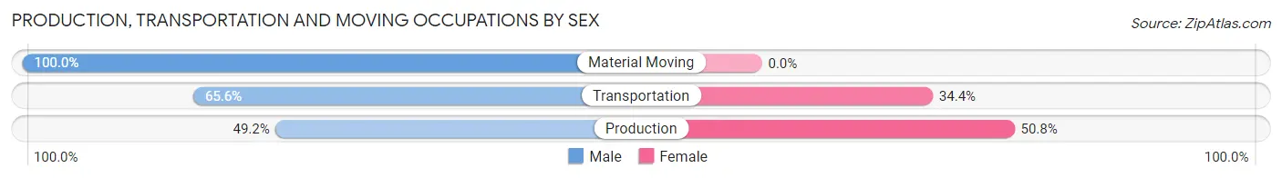 Production, Transportation and Moving Occupations by Sex in Zip Code 46048