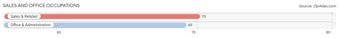 Sales and Office Occupations in Zip Code 46048