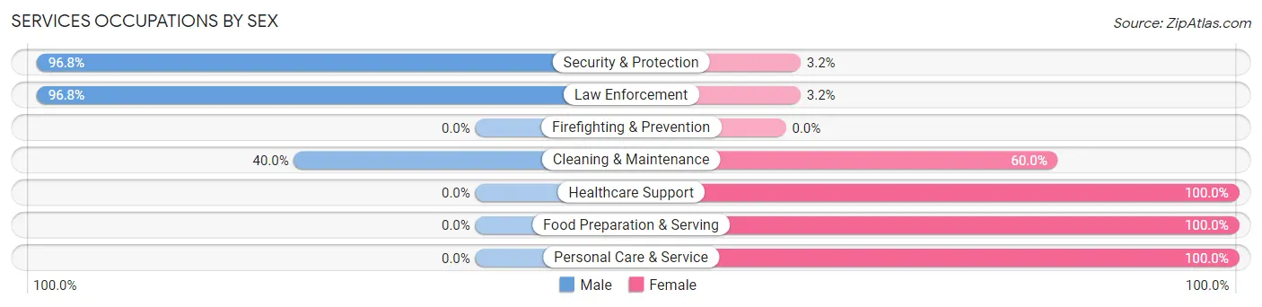 Services Occupations by Sex in Zip Code 46049