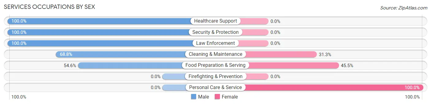 Services Occupations by Sex in Zip Code 46057