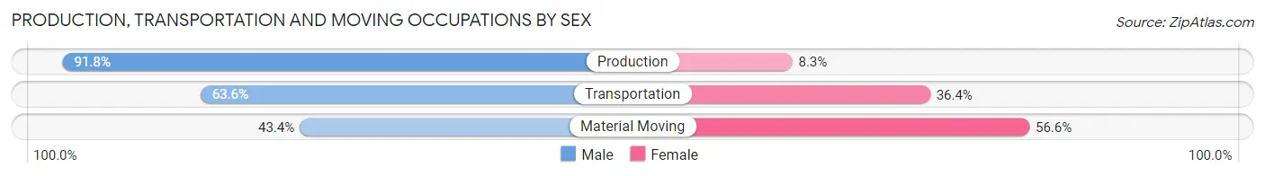Production, Transportation and Moving Occupations by Sex in Zip Code 46058