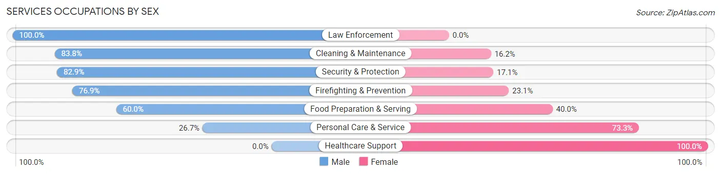 Services Occupations by Sex in Zip Code 46058