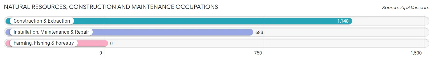 Natural Resources, Construction and Maintenance Occupations in Zip Code 46060