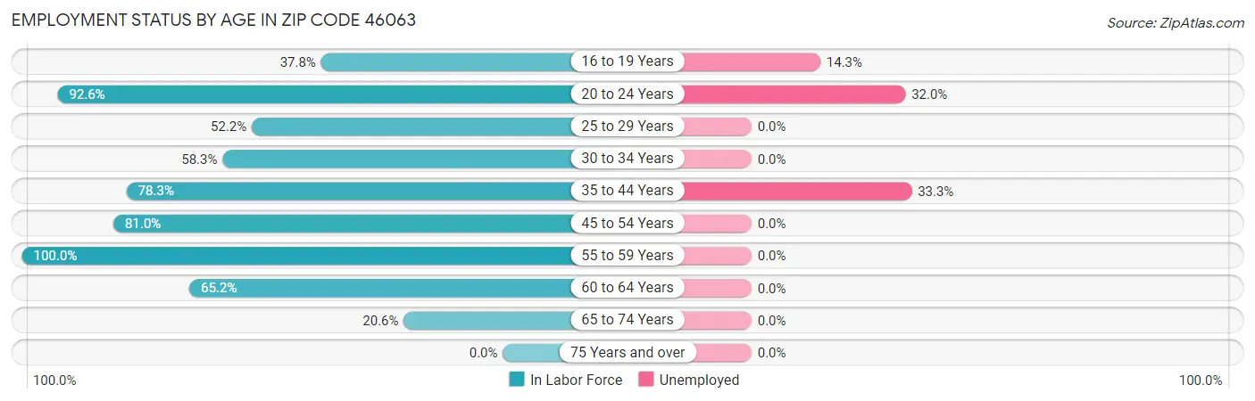 Employment Status by Age in Zip Code 46063