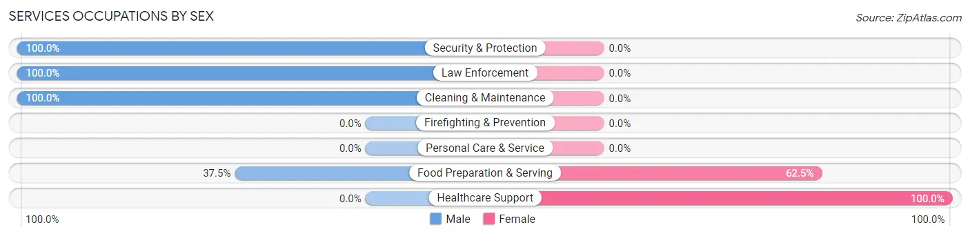 Services Occupations by Sex in Zip Code 46063