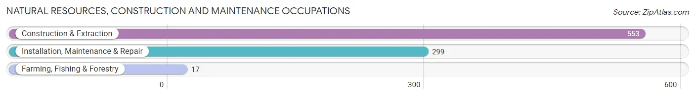 Natural Resources, Construction and Maintenance Occupations in Zip Code 46064