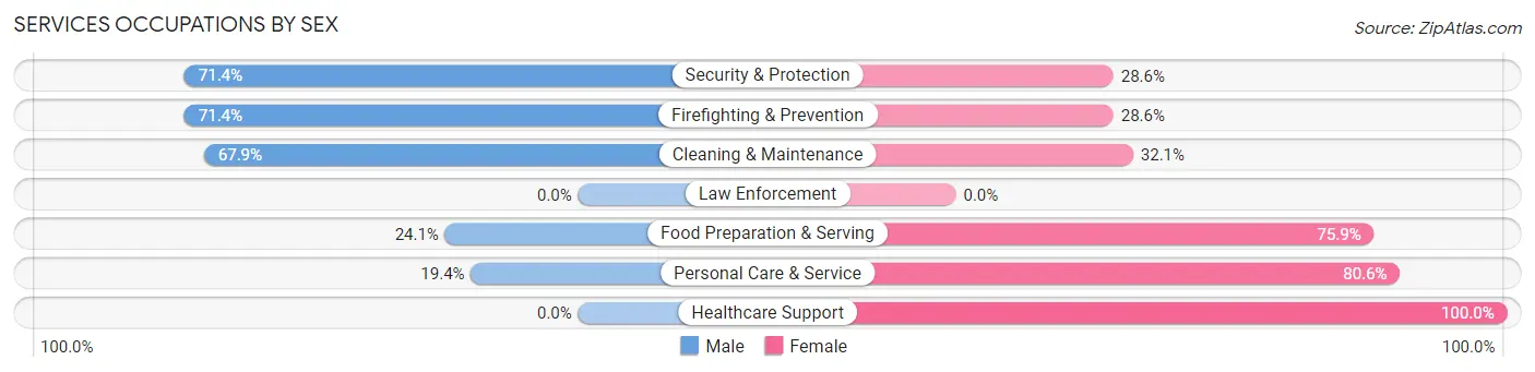Services Occupations by Sex in Zip Code 46071