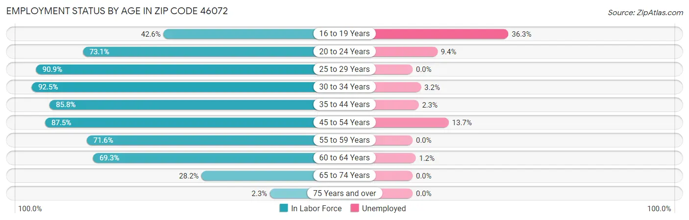 Employment Status by Age in Zip Code 46072