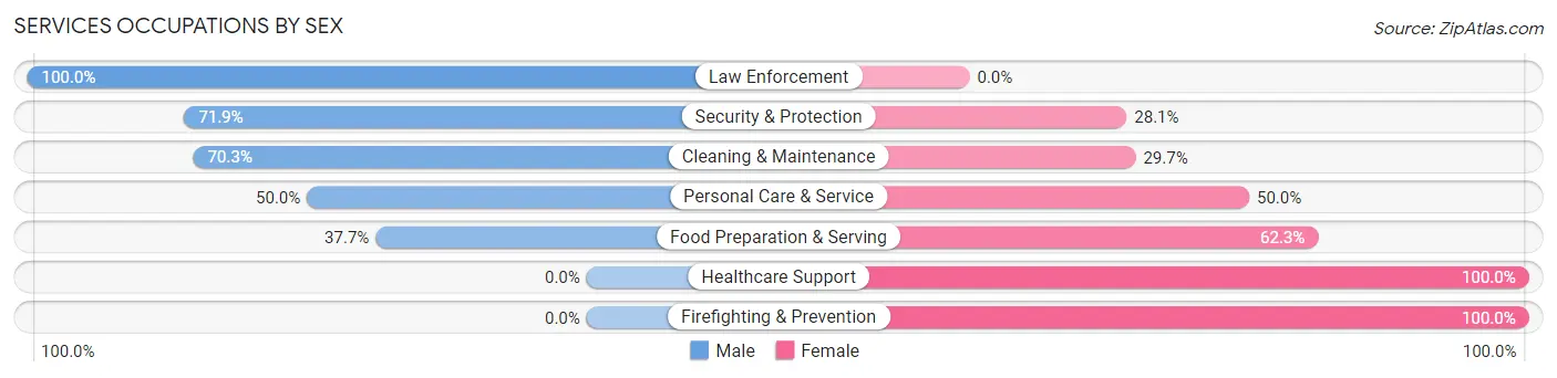 Services Occupations by Sex in Zip Code 46072