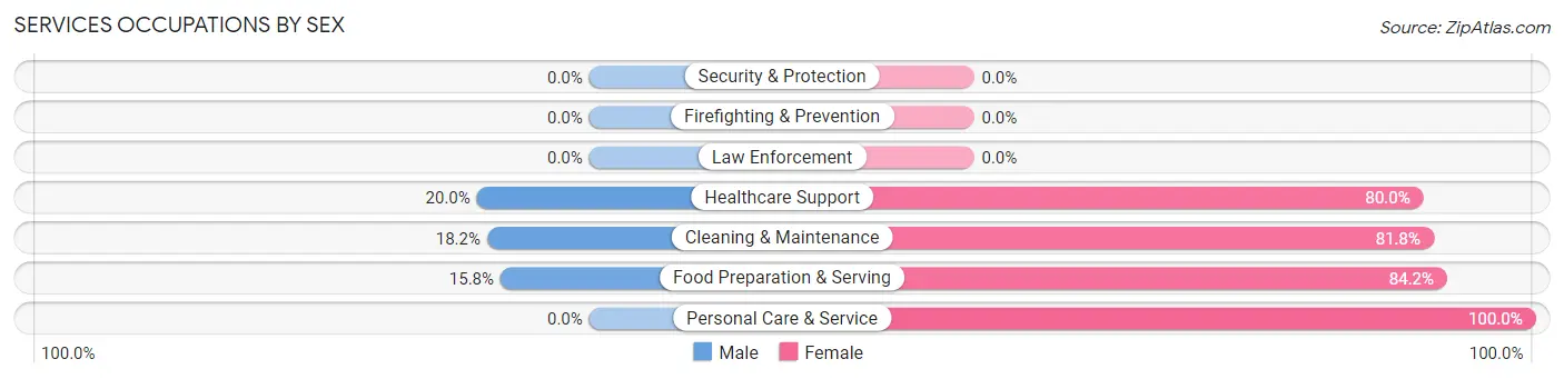 Services Occupations by Sex in Zip Code 46076