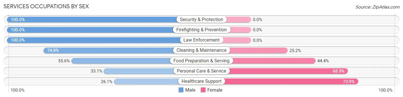 Services Occupations by Sex in Zip Code 46077