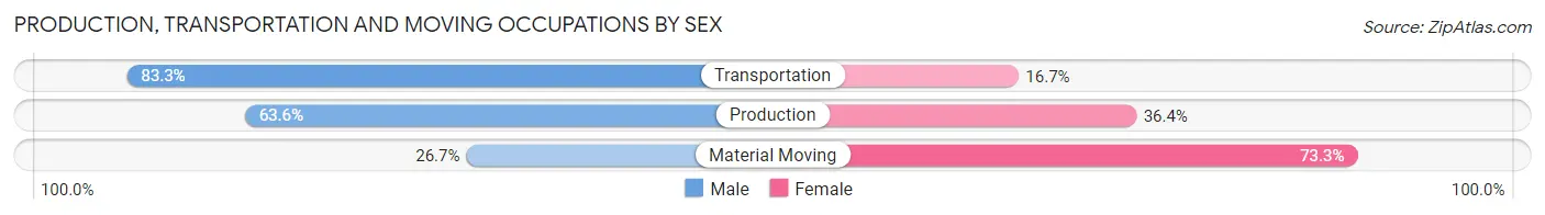 Production, Transportation and Moving Occupations by Sex in Zip Code 46102