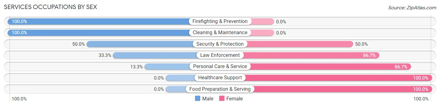 Services Occupations by Sex in Zip Code 46102