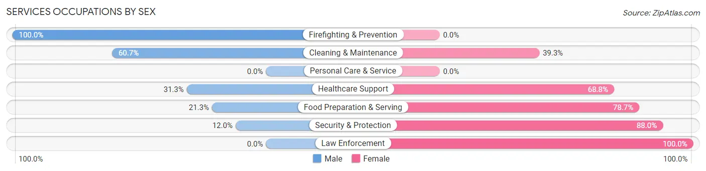 Services Occupations by Sex in Zip Code 46105