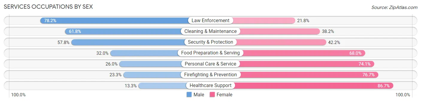 Services Occupations by Sex in Zip Code 46107