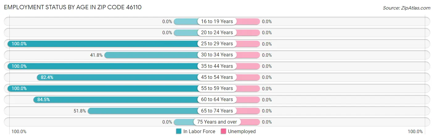 Employment Status by Age in Zip Code 46110
