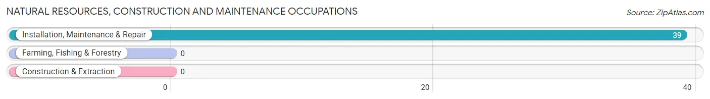 Natural Resources, Construction and Maintenance Occupations in Zip Code 46110