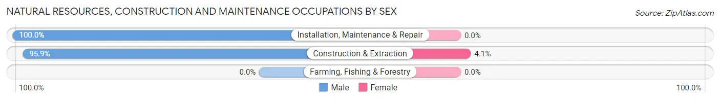 Natural Resources, Construction and Maintenance Occupations by Sex in Zip Code 46120