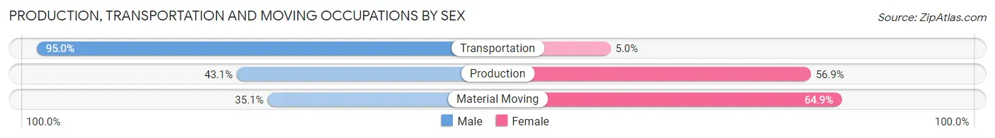 Production, Transportation and Moving Occupations by Sex in Zip Code 46120