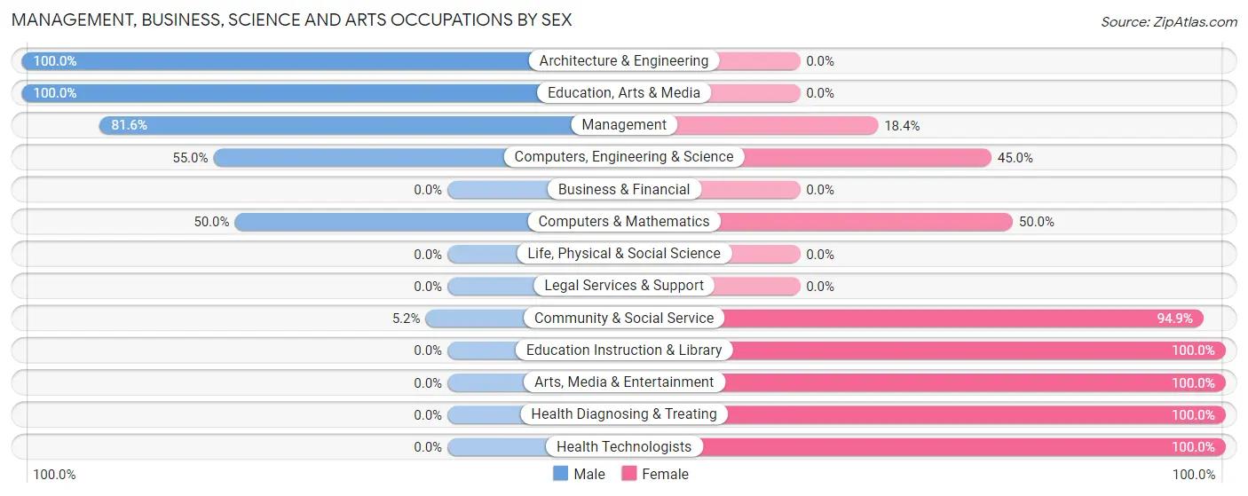 Management, Business, Science and Arts Occupations by Sex in Zip Code 46128