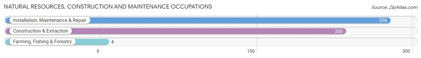 Natural Resources, Construction and Maintenance Occupations in Zip Code 46135