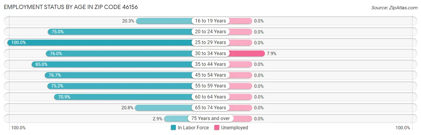 Employment Status by Age in Zip Code 46156