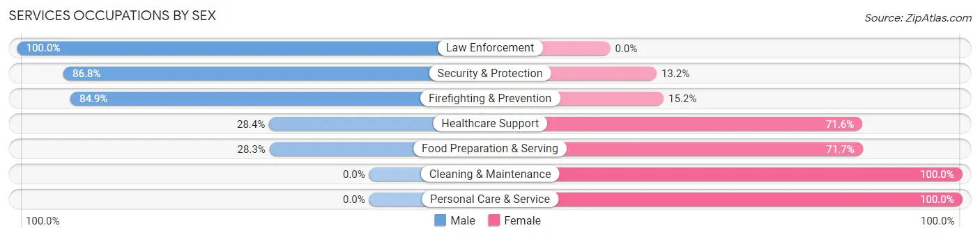 Services Occupations by Sex in Zip Code 46160
