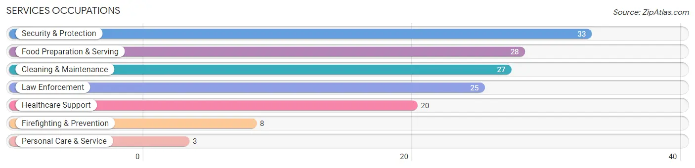 Services Occupations in Zip Code 46161