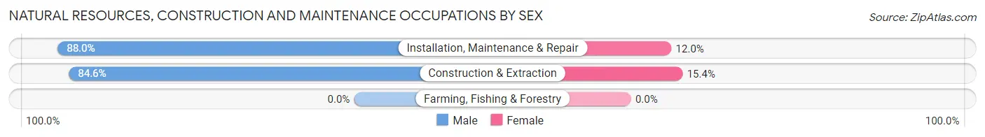 Natural Resources, Construction and Maintenance Occupations by Sex in Zip Code 46163