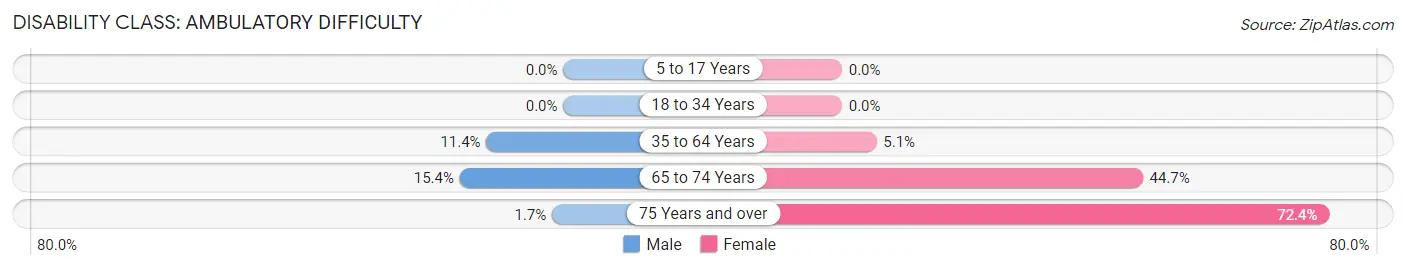 Disability in Zip Code 46165: <span>Ambulatory Difficulty</span>