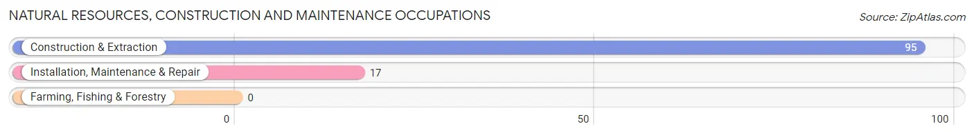 Natural Resources, Construction and Maintenance Occupations in Zip Code 46165