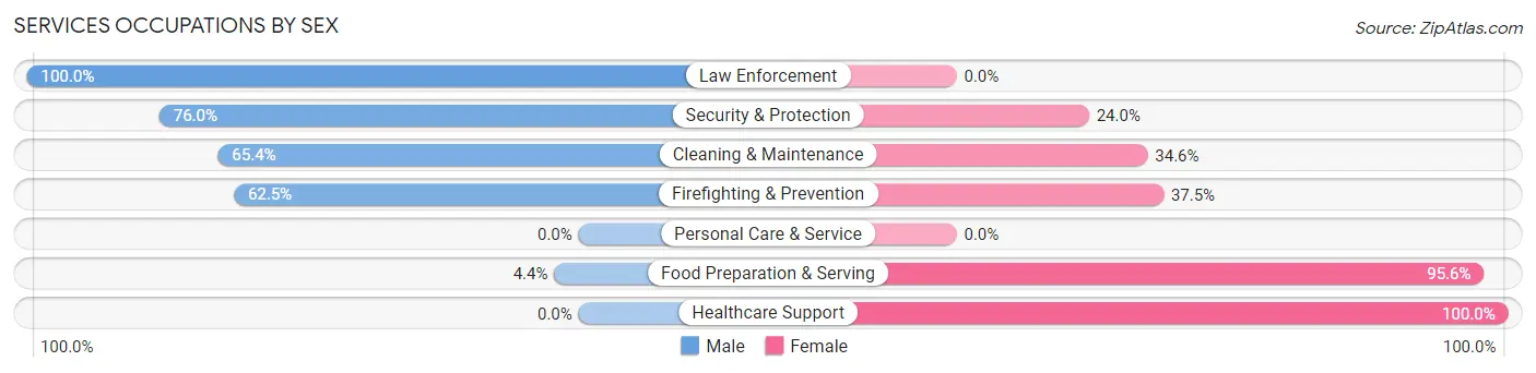 Services Occupations by Sex in Zip Code 46165