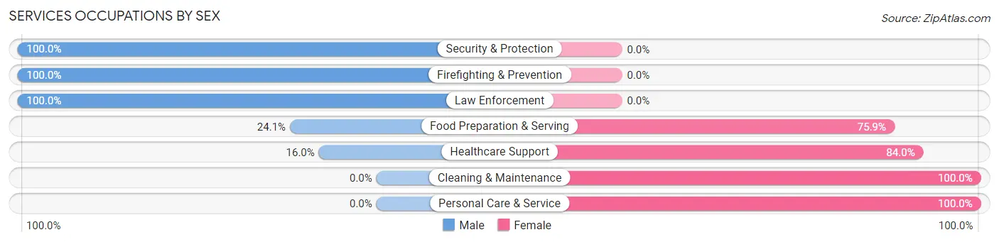 Services Occupations by Sex in Zip Code 46167
