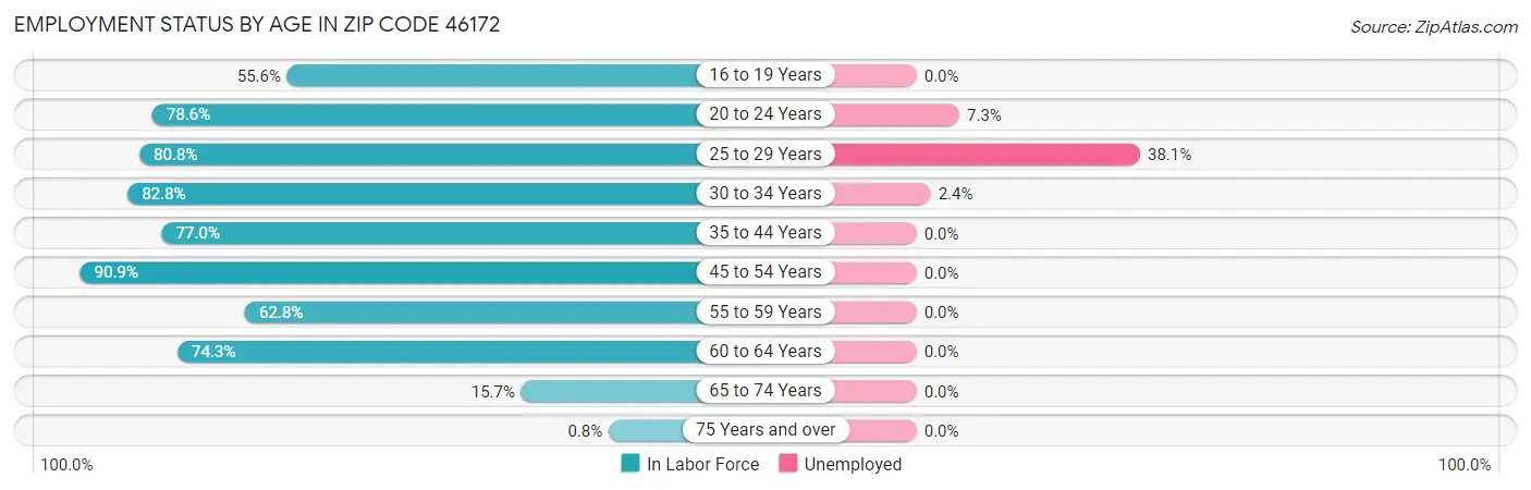 Employment Status by Age in Zip Code 46172