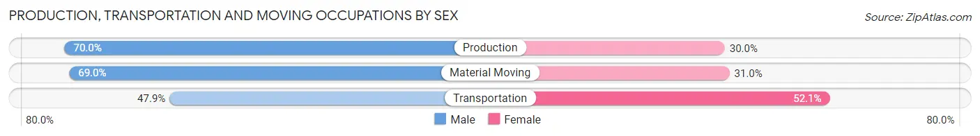 Production, Transportation and Moving Occupations by Sex in Zip Code 46173