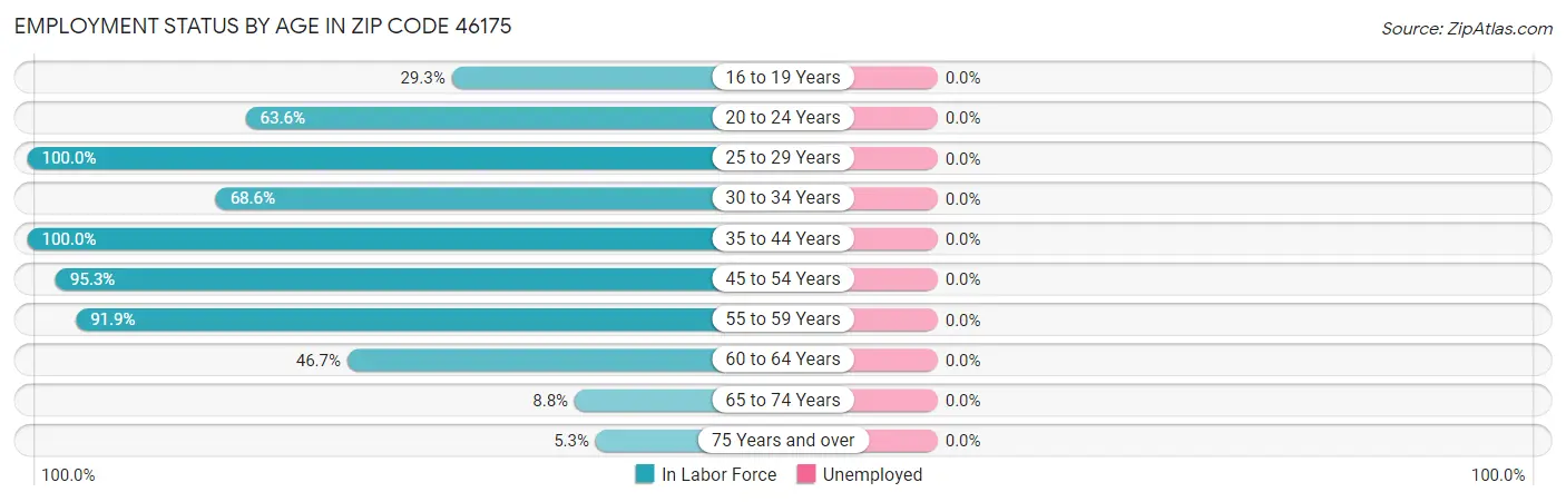 Employment Status by Age in Zip Code 46175