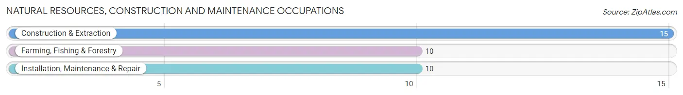 Natural Resources, Construction and Maintenance Occupations in Zip Code 46175