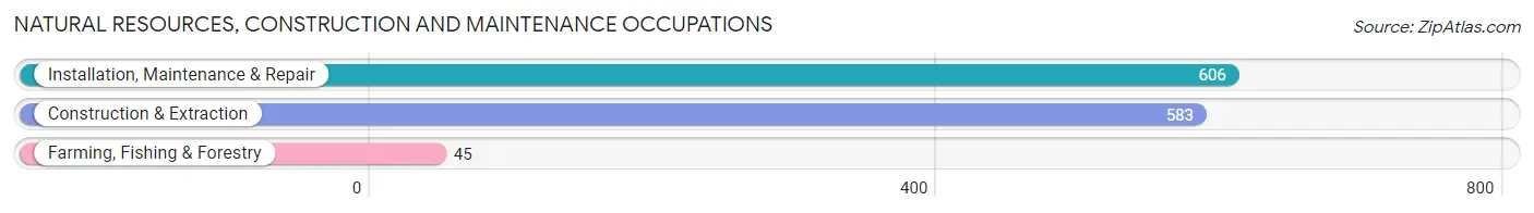 Natural Resources, Construction and Maintenance Occupations in Zip Code 46176