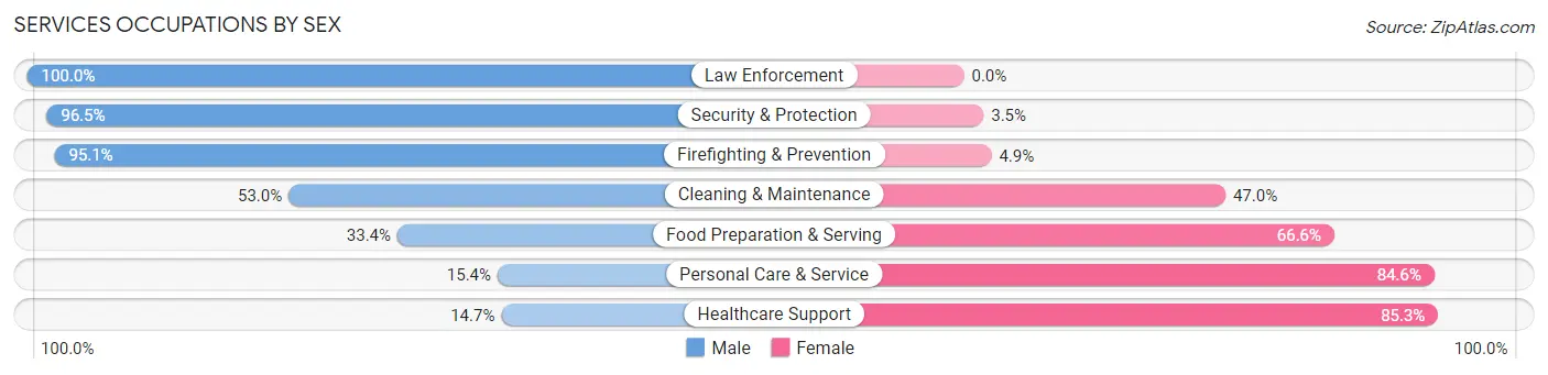 Services Occupations by Sex in Zip Code 46176