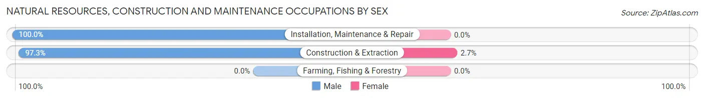 Natural Resources, Construction and Maintenance Occupations by Sex in Zip Code 46181