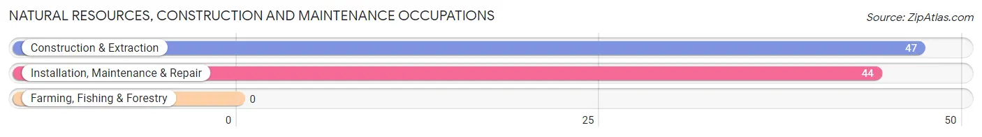 Natural Resources, Construction and Maintenance Occupations in Zip Code 46186