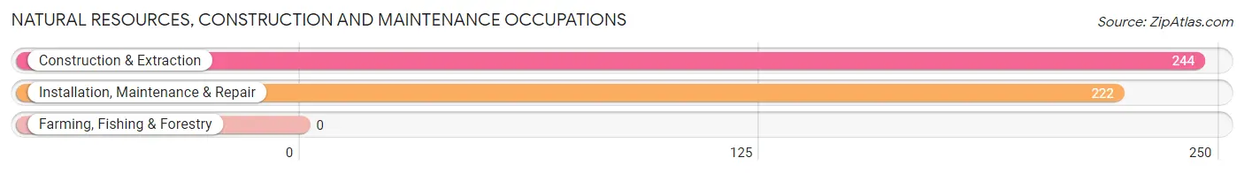 Natural Resources, Construction and Maintenance Occupations in Zip Code 46208