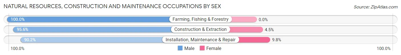 Natural Resources, Construction and Maintenance Occupations by Sex in Zip Code 46217