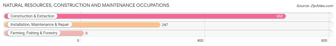 Natural Resources, Construction and Maintenance Occupations in Zip Code 46218