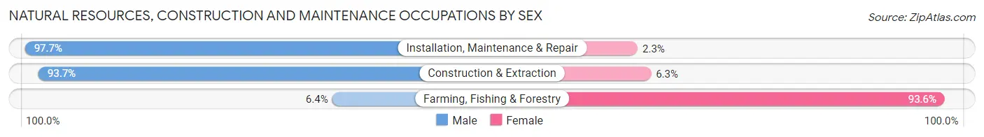 Natural Resources, Construction and Maintenance Occupations by Sex in Zip Code 46219