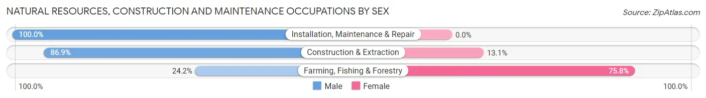 Natural Resources, Construction and Maintenance Occupations by Sex in Zip Code 46222