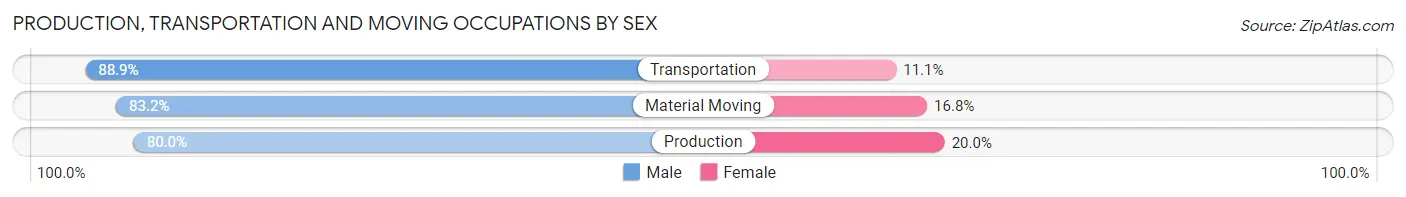 Production, Transportation and Moving Occupations by Sex in Zip Code 46304