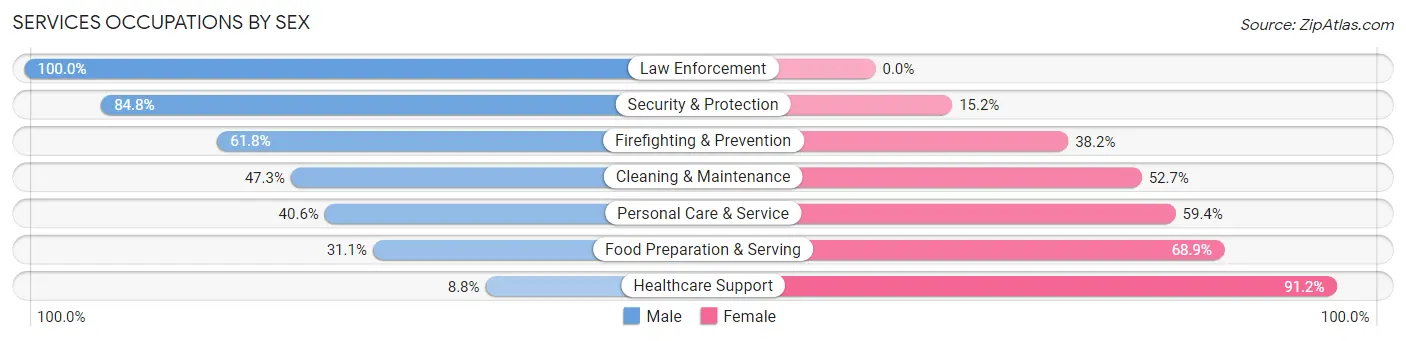 Services Occupations by Sex in Zip Code 46311